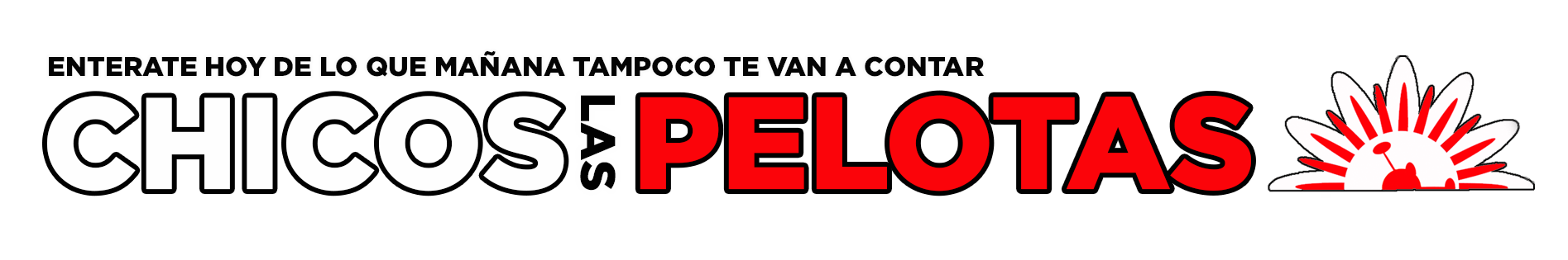 Chicos las Pelotas